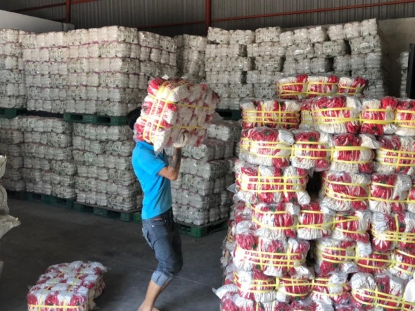 Xưởng sản xuất công ty Kim Long