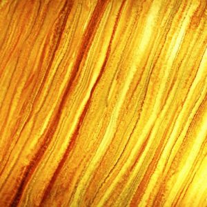Tấm nhựa PVC xuyên sáng