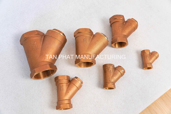 Y lọc BC6