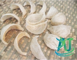 Yến sơ chế rút lông loại 1