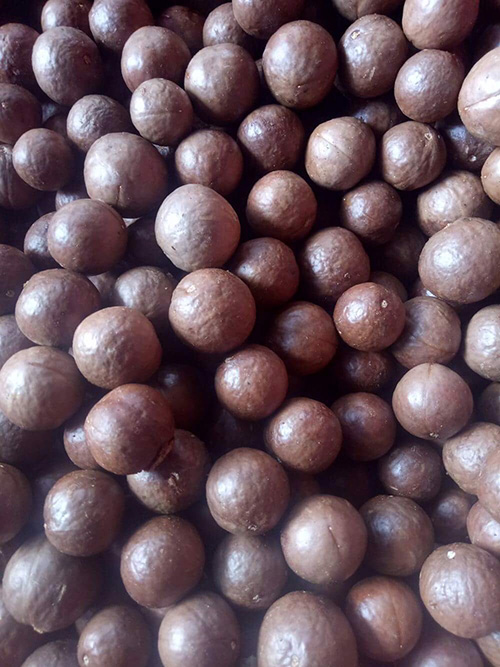 Hạt mắc ca