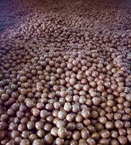 Hạt mắc ca
