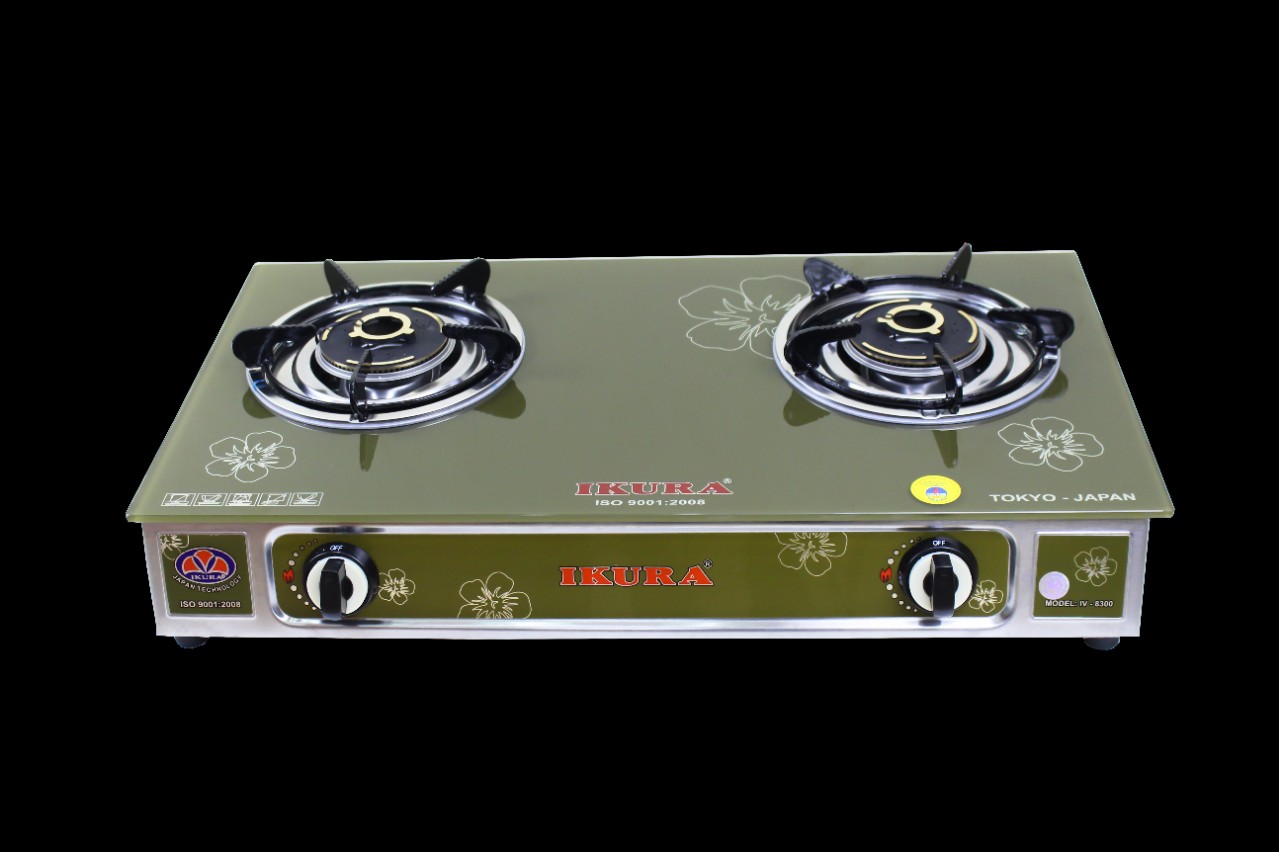 Bếp gas các loại