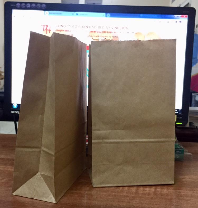 Túi giấy Kraft