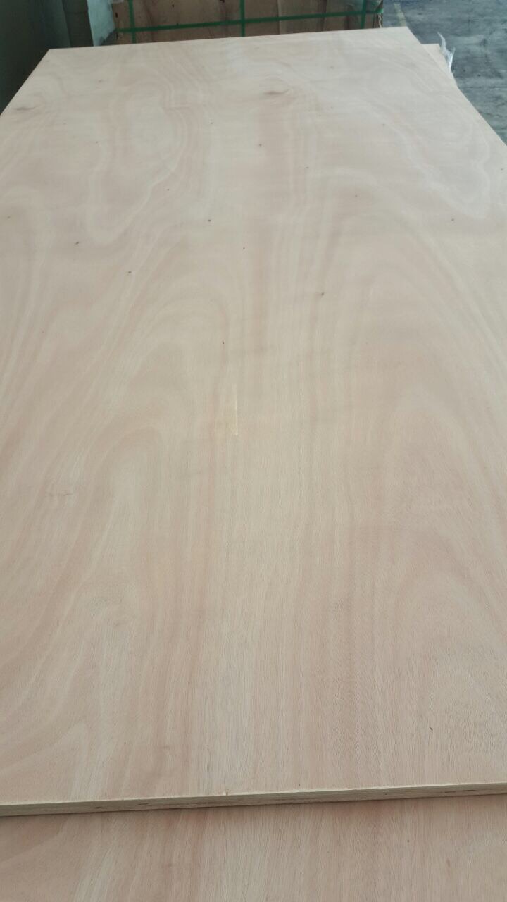 产品与服务
