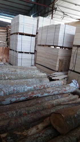 Hình ảnh kho xưởng