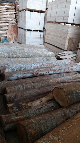Hình ảnh kho xưởng