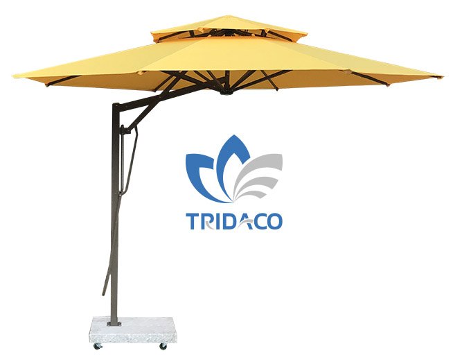 Dù che Trí Đạo
