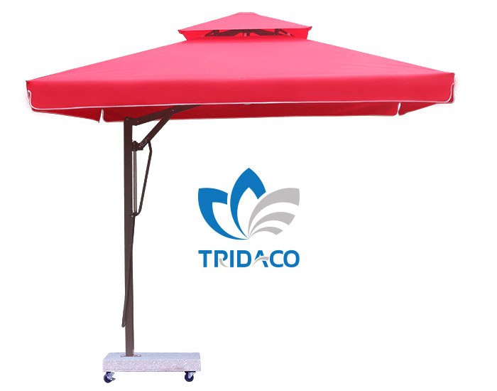 Dù che Trí Đạo