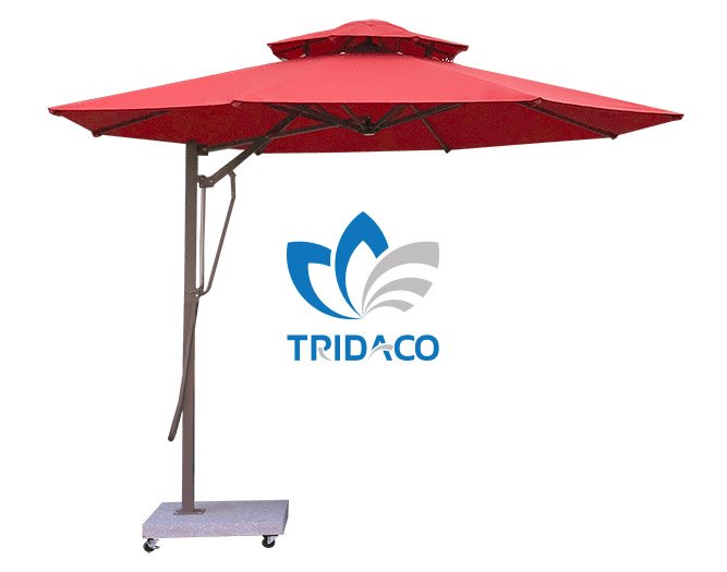 Dù che Trí Đạo