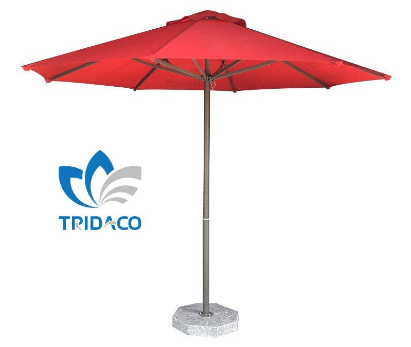 Dù che Trí Đạo