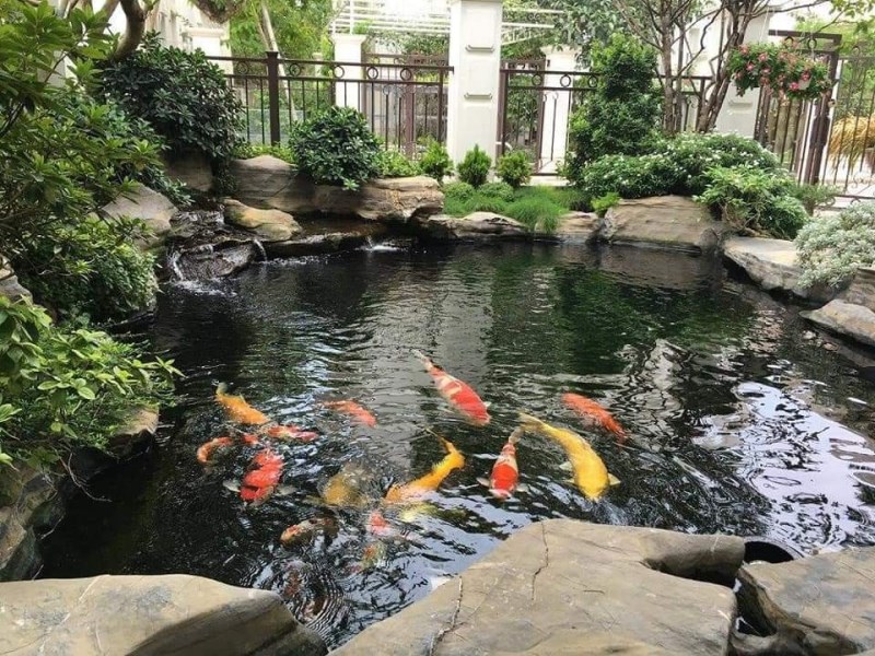 Công trình cảnh quan