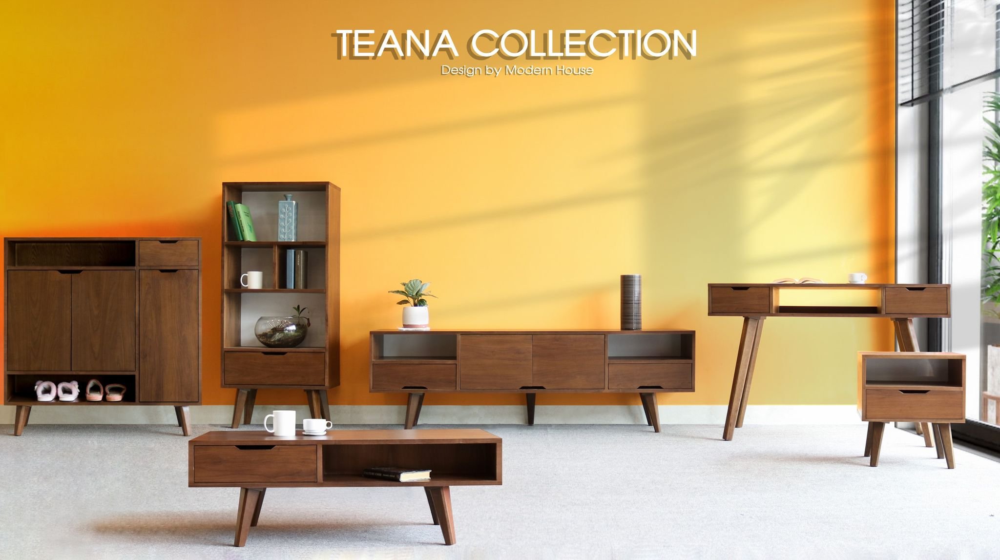 Combo Teana tự nhiên