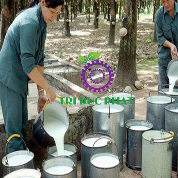 Mủ cao su