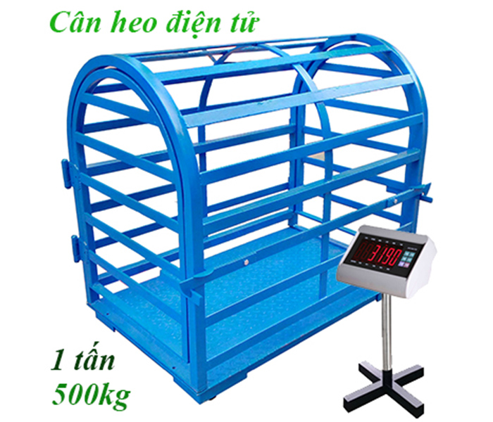 Hình ảnh sản phẩm