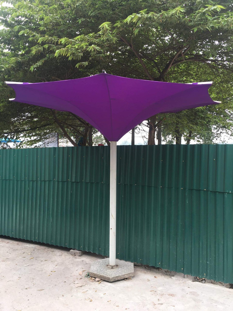 Dù hoa tuy líp dùng để trang trí