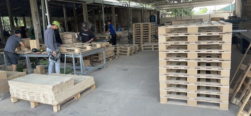 Pallet gỗ