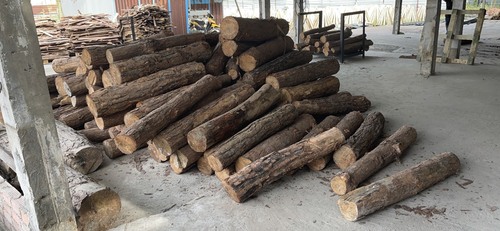 Gỗ xẻ sấy