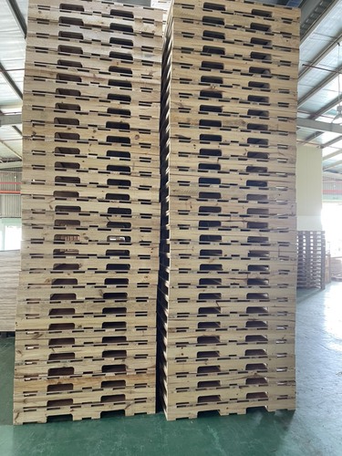 Pallet gỗ