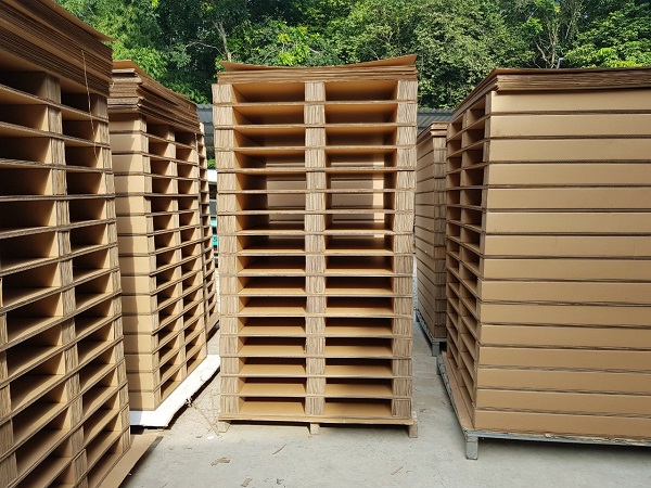 Pallet giấy