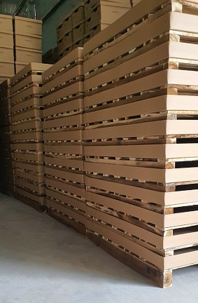 Pallet giấy