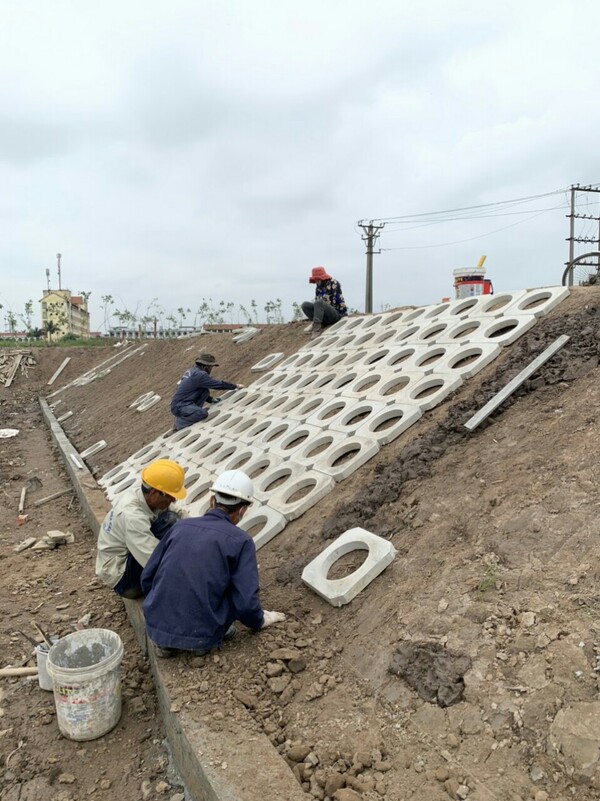 Gạch trồng cỏ