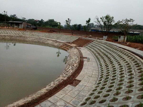 Gạch trồng cỏ