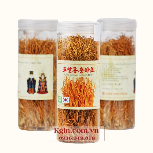 Nấm đông trùng hạ thảo