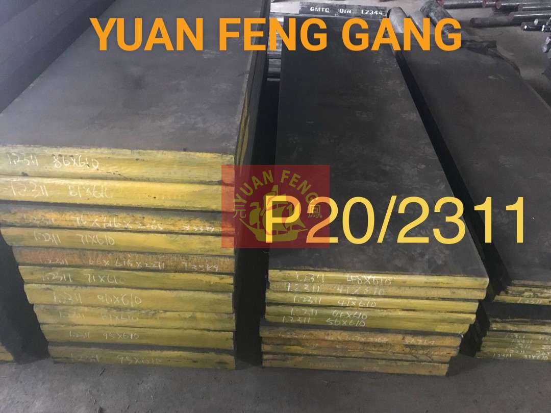 P20/2311