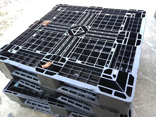 Pallet nhựa cũ