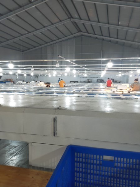 Nhà máy sản xuất