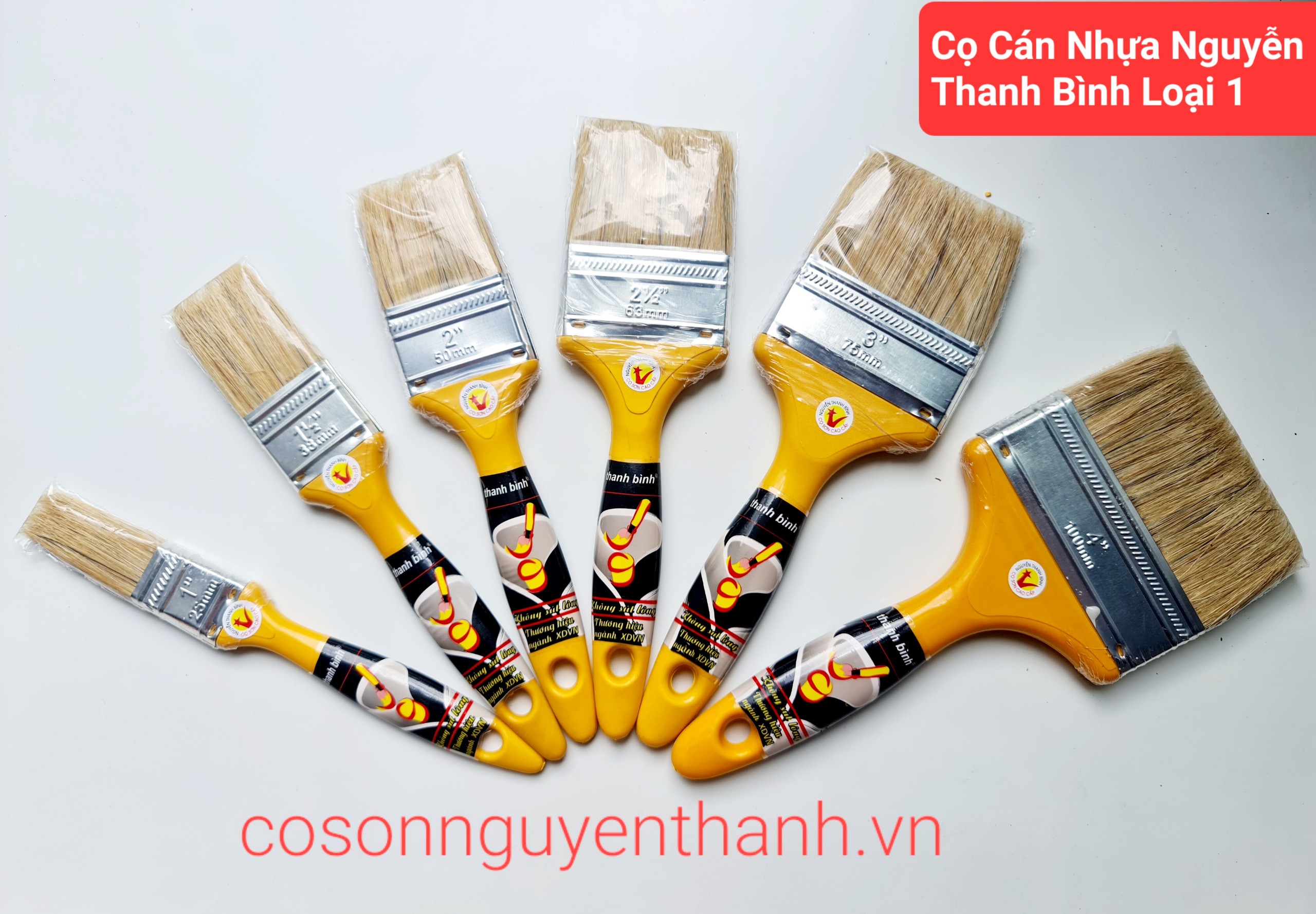 Cọ cán nhựaNguyễn Thanh Bình loại 1