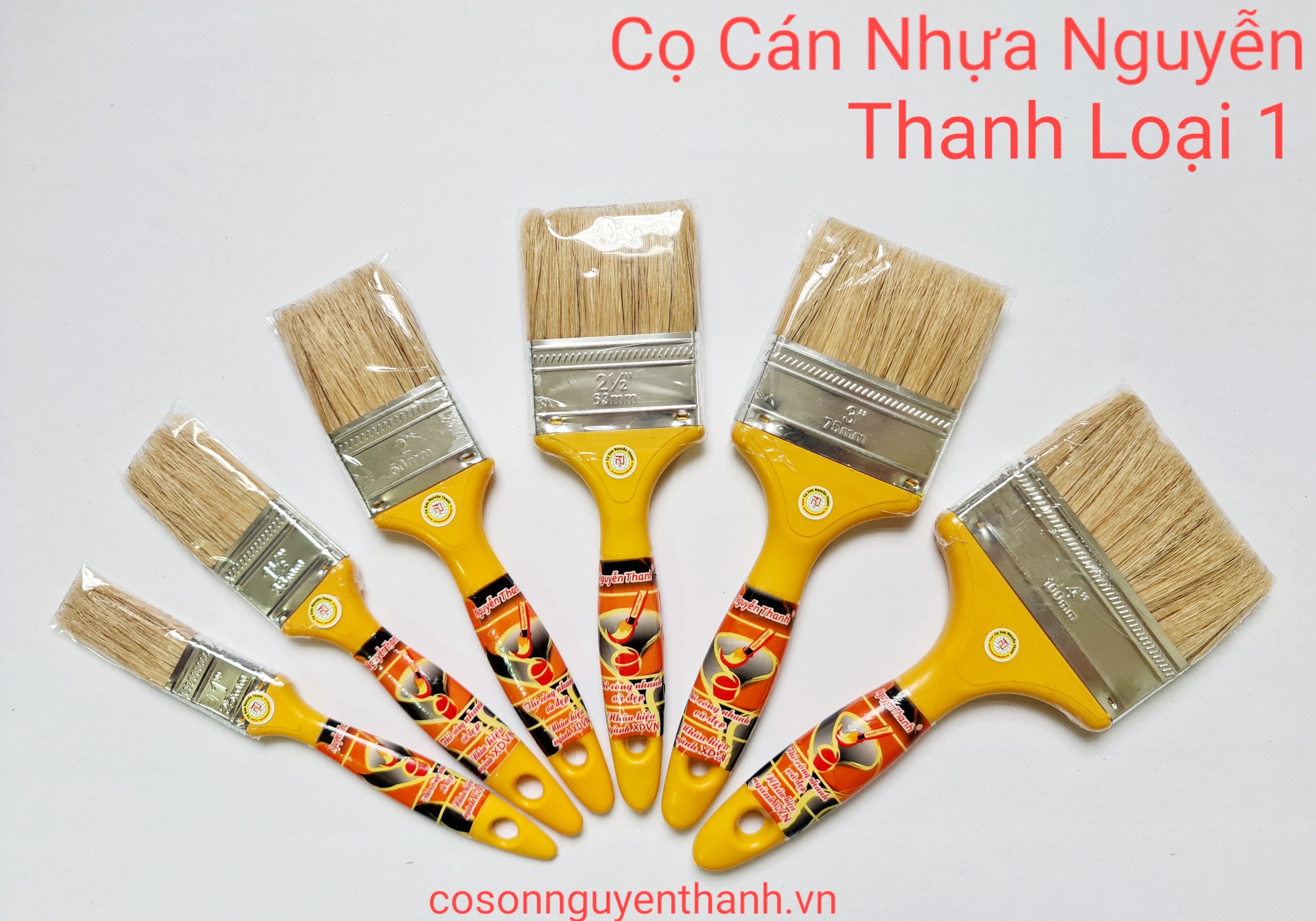 Cọ cán nhựaNguyễn Thanh loại 1