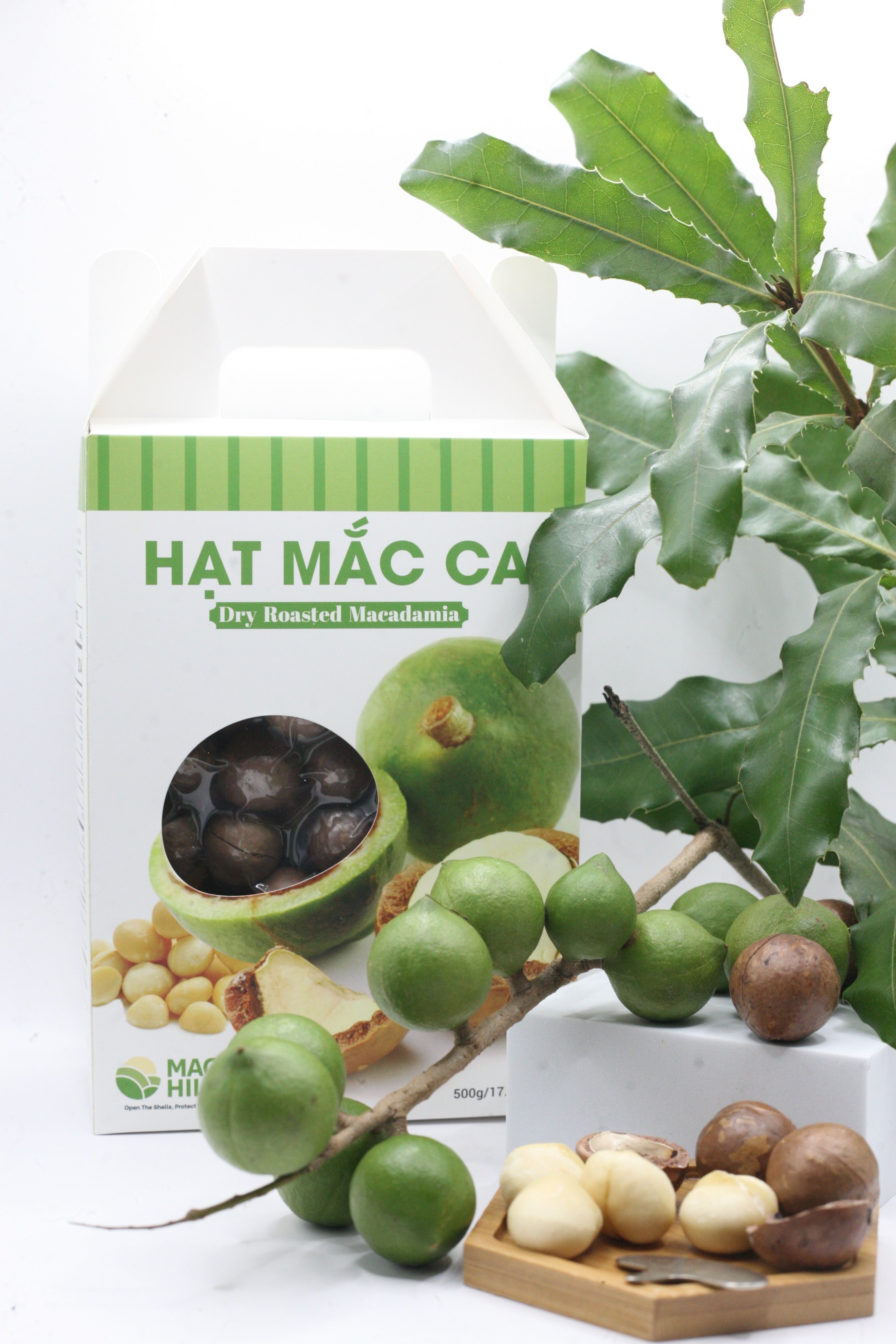 Hạt macca