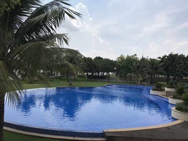 Mẫu bể bơi đẹp