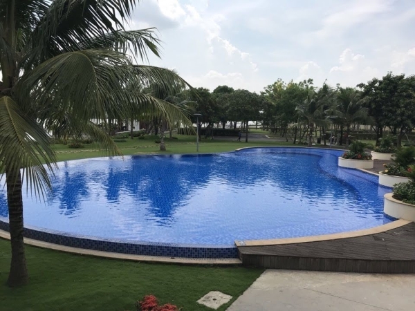 Mẫu bể bơi đẹp
