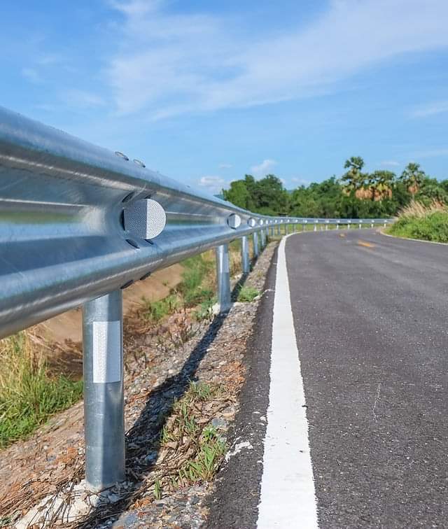 Hạ lan tôn sóng