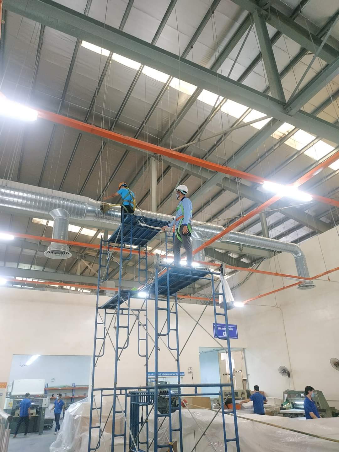 Hình ảnh thực tế