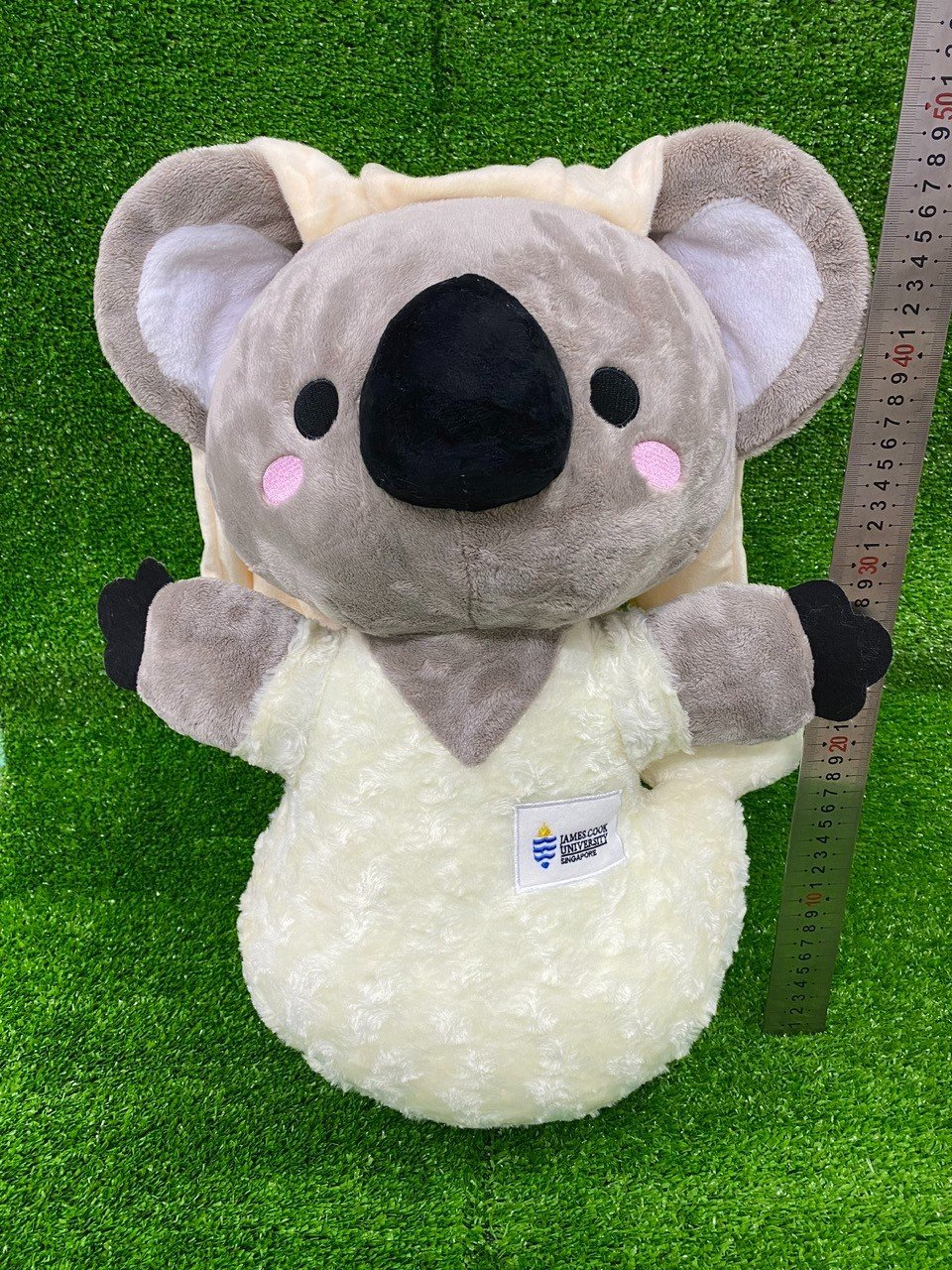 产品与服务