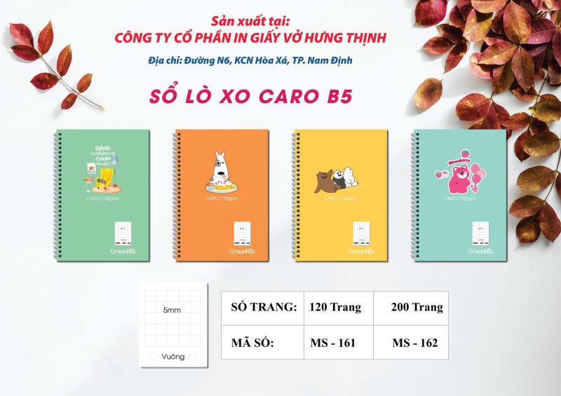 Sổ lò xo caro B5