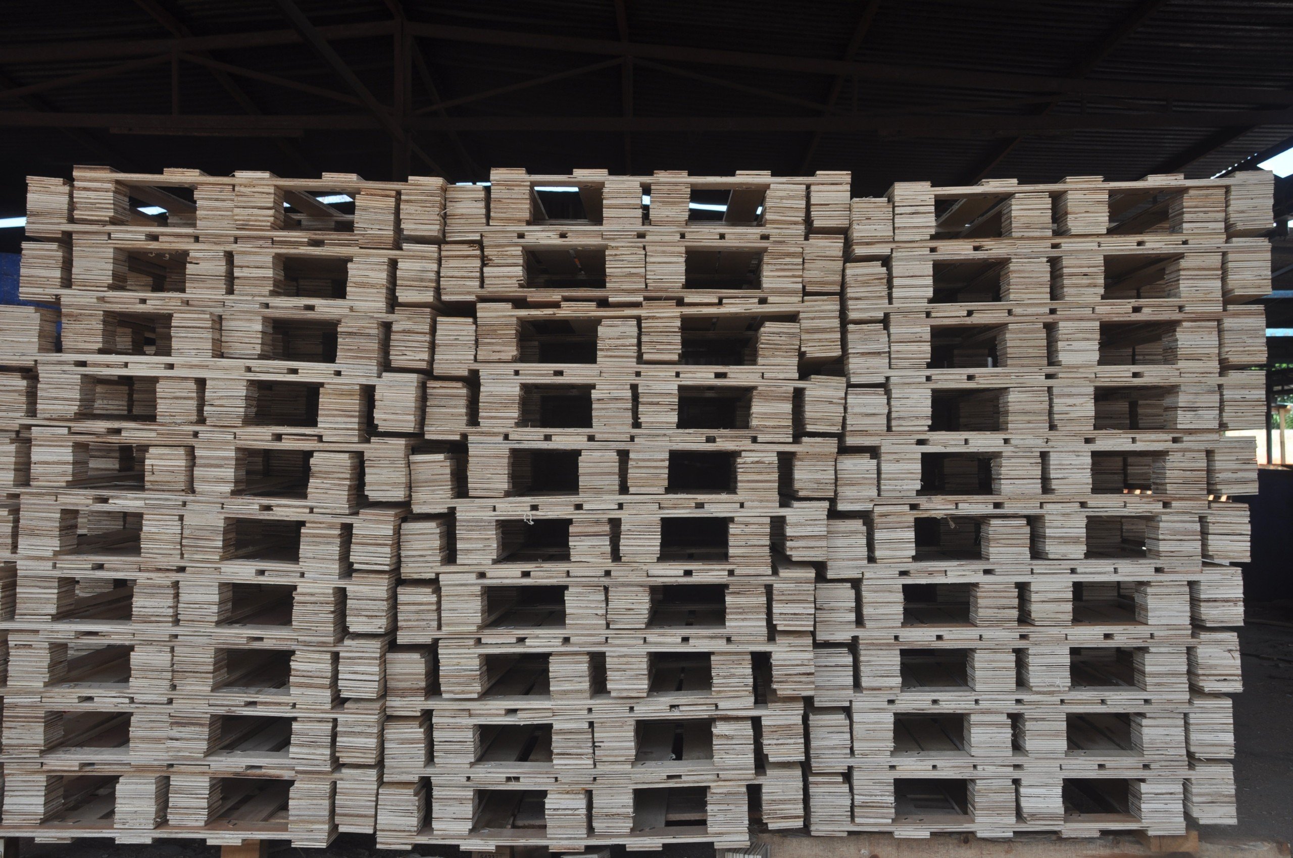 Pallet Ván ép 4 Hướng Nâng
