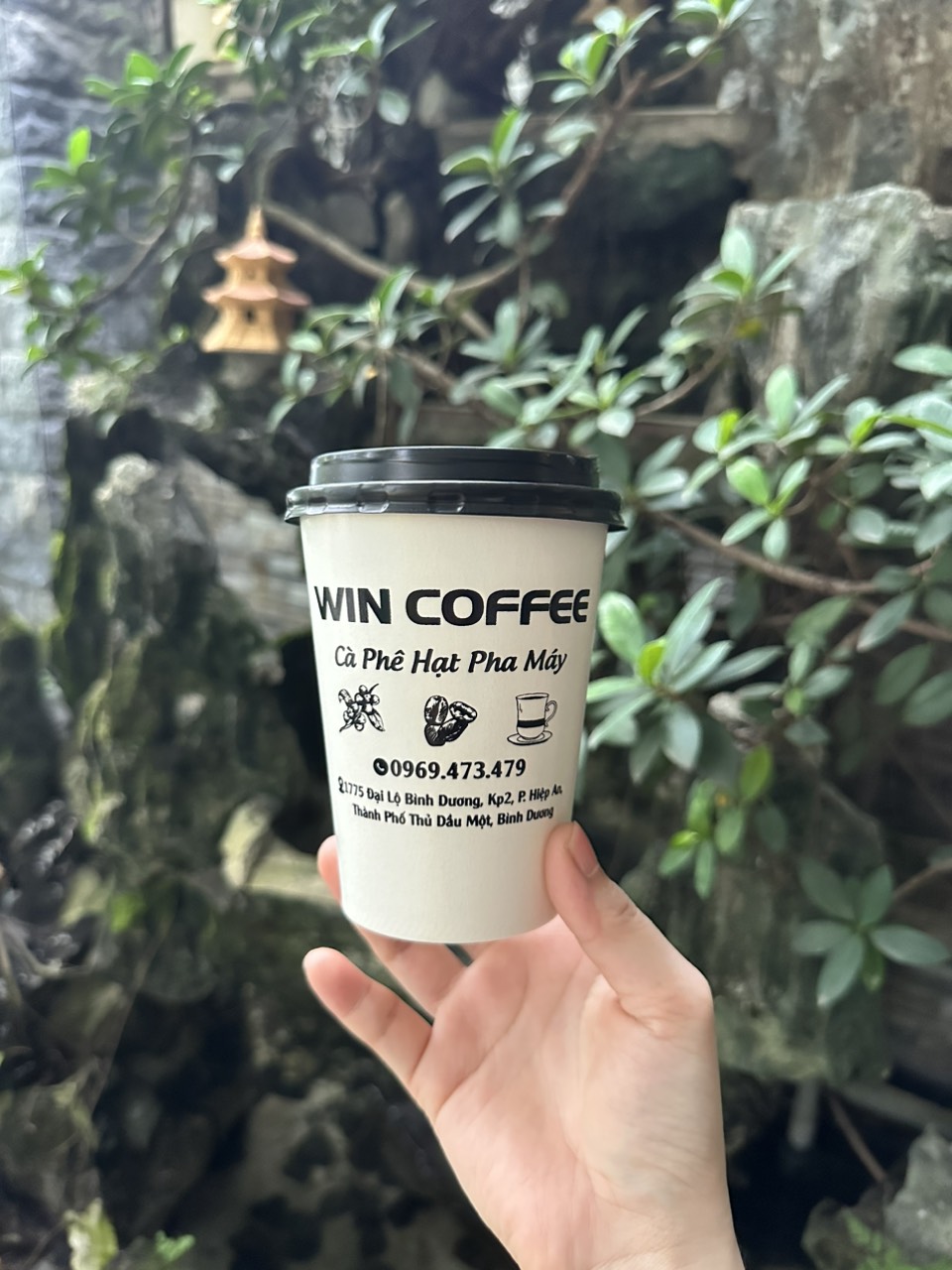 In ly giấy