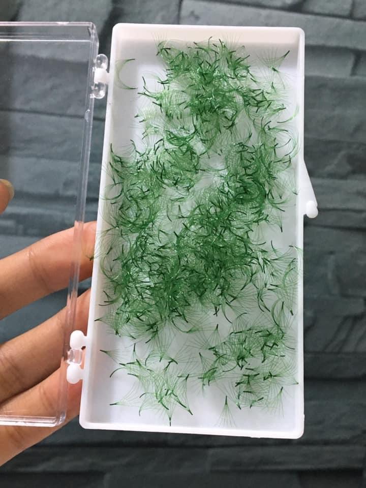 Lông Mi Màu