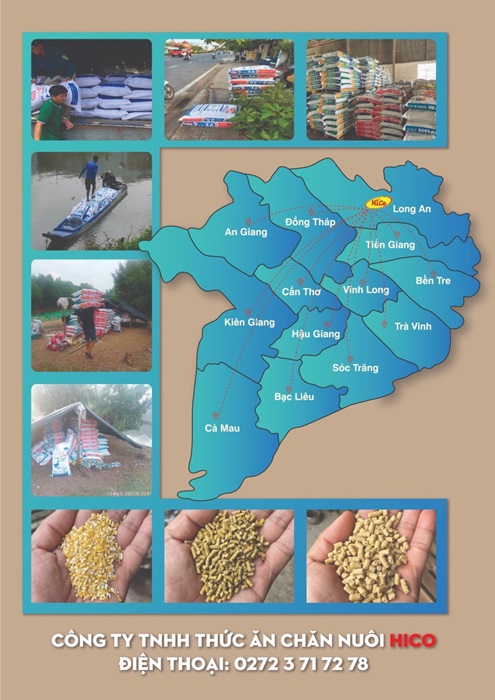 Thức ăn chăn nuôi hỗn hợp