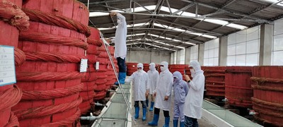 Xưởng sản xuất
