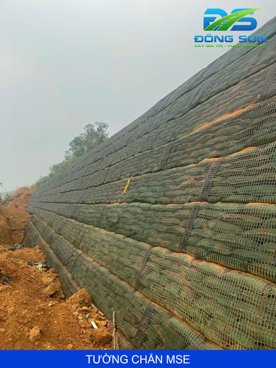 Tường chắn MSE