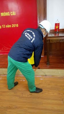 Dịch vụ diệt mối, côn trùng