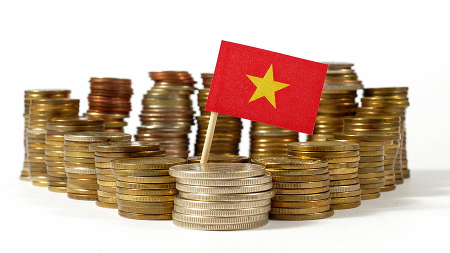 越南的税法：解释器