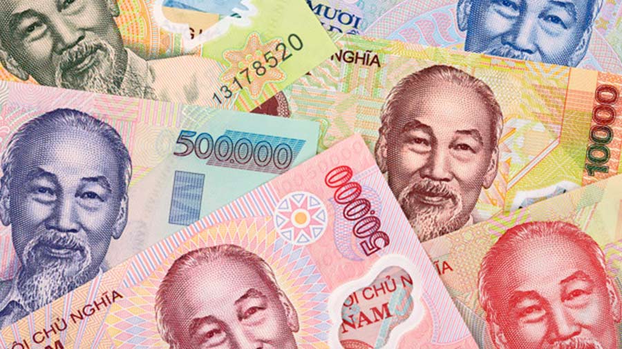 在大流行中降低越南的业务成本