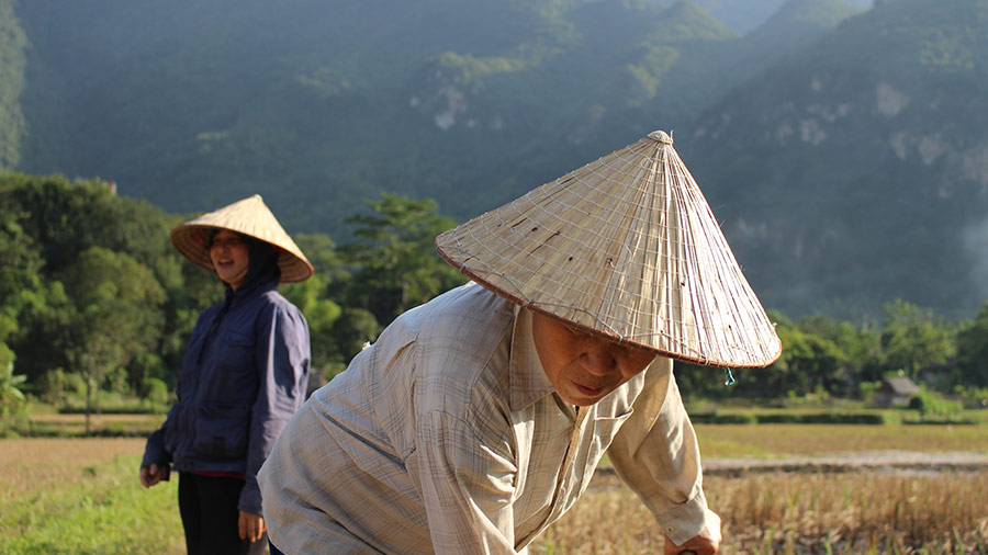 越南的商业许可证免税：法令的重点22